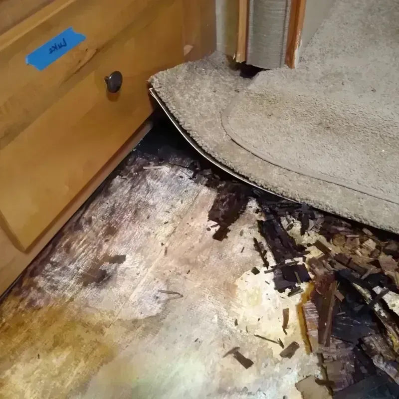 Wood Floor Water Damage in Port Washington, WI